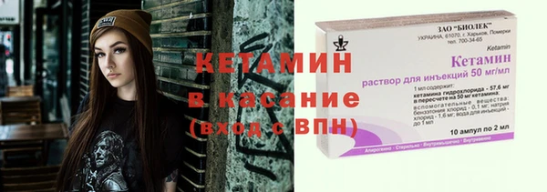 шишки Заволжье