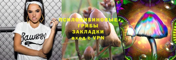 прущие крисы Алзамай