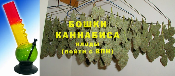 дмт Дмитровск