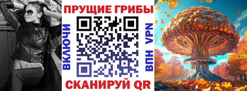 Псилоцибиновые грибы мухоморы  блэк спрут   Бавлы  купить наркоту 